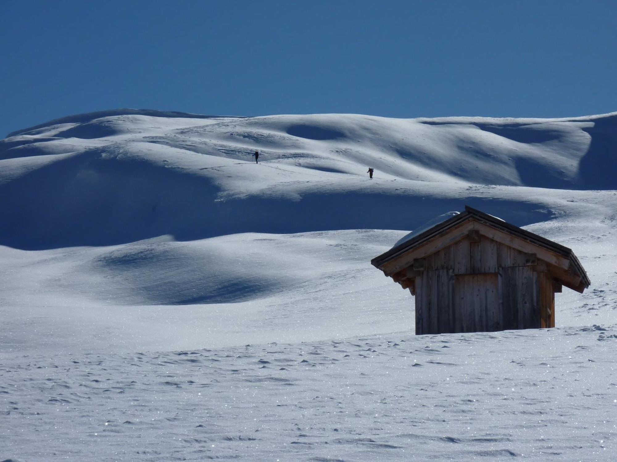 Apparthotel Bio Natur Refugium Blaslahof Santa Maddalena in Casies エクステリア 写真